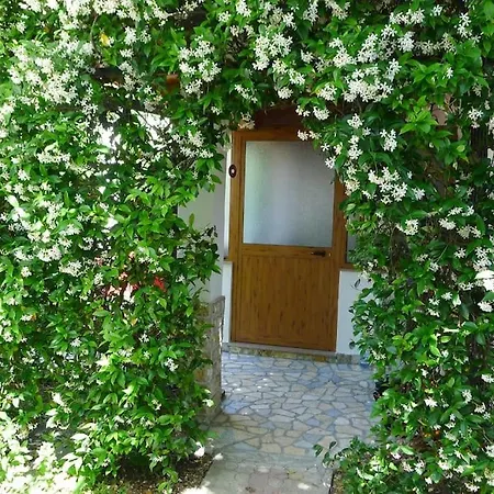 House - Bedroom For 5 People - 1st Floor - A